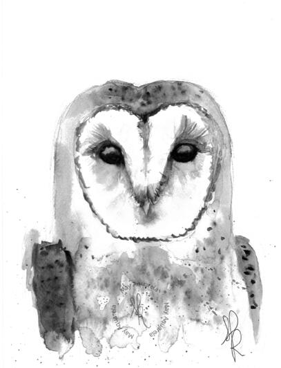 Coruja: “Tyto furcata” Coruja: “Tyto furcata”
