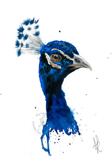 Pavão: “Pavo cristatus” Pavão: “Pavo cristatus”